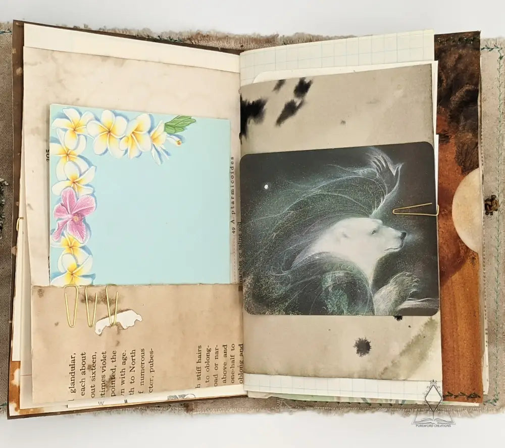 Pure Nature Journals Journal