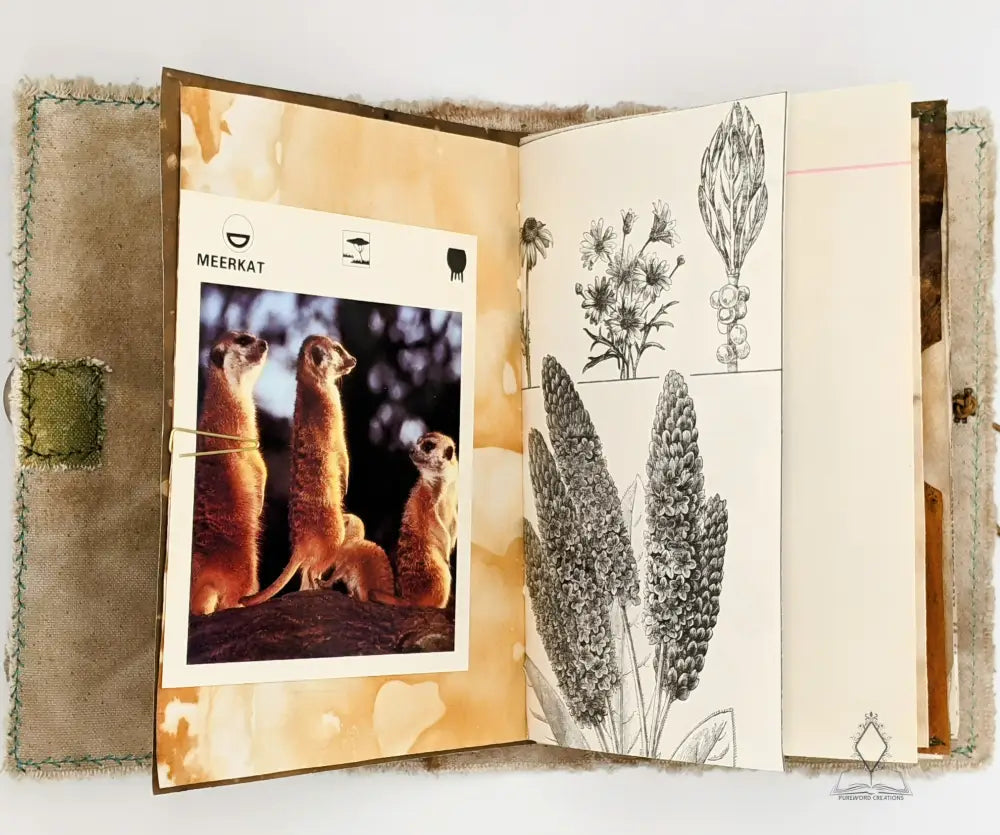 Pure Nature Journals Journal