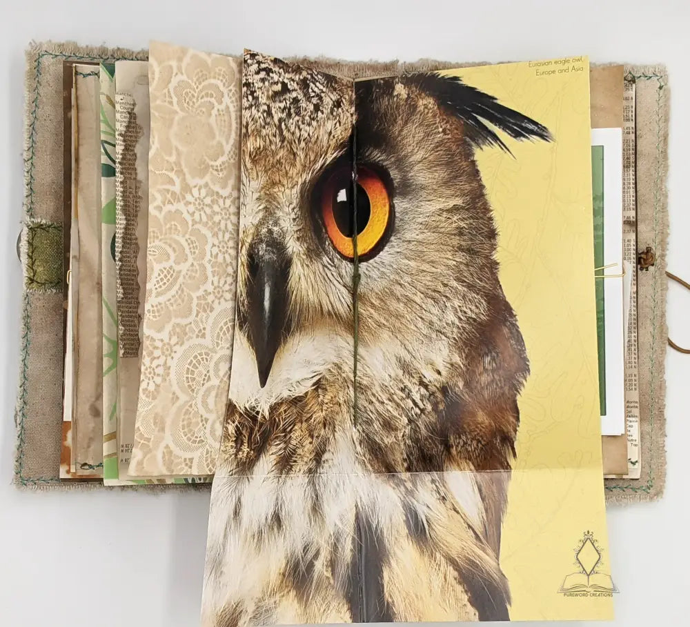 Pure Nature Journals Journal